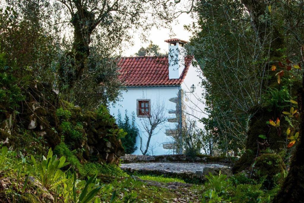 Casa Do Vale Do Papo Villa Pombal  Exterior photo